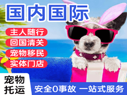 广州白云空运地址国际宠物托运 【国